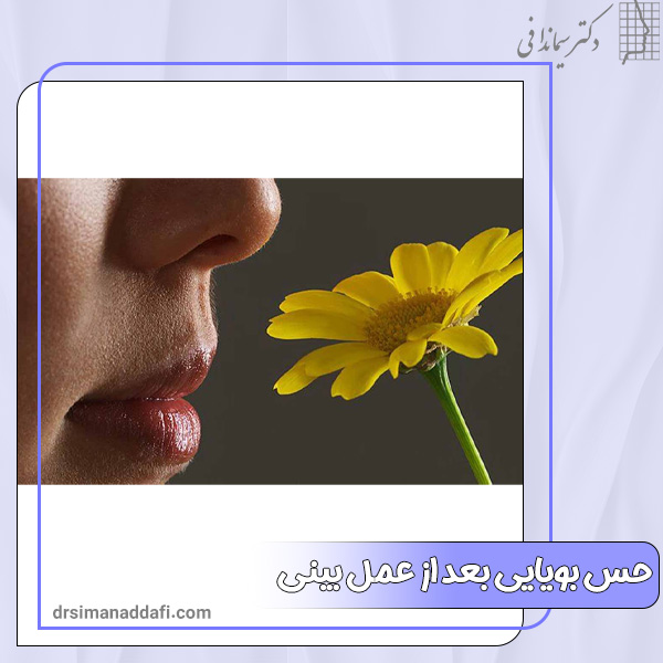 حس بویایی بعد از عمل بینی